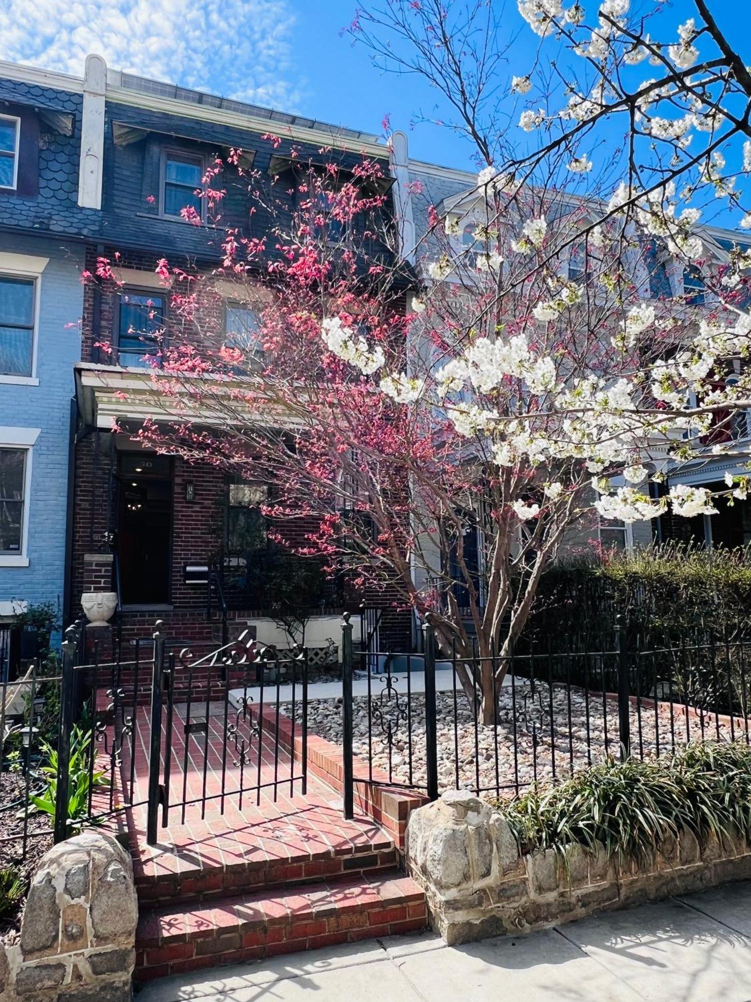 Amma'S Place Washington Exterior photo